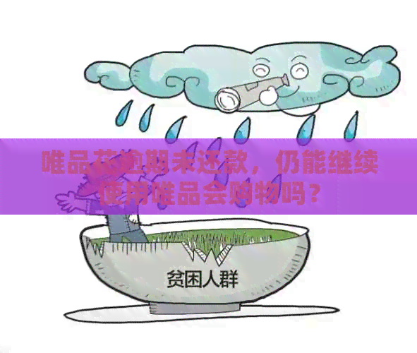 唯品花逾期未还款，仍能继续使用唯品会购物吗？