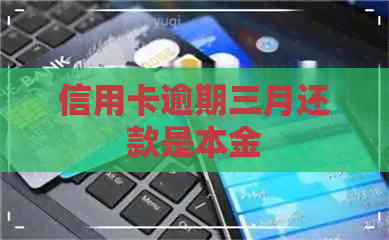 信用卡逾期三月还款是本金