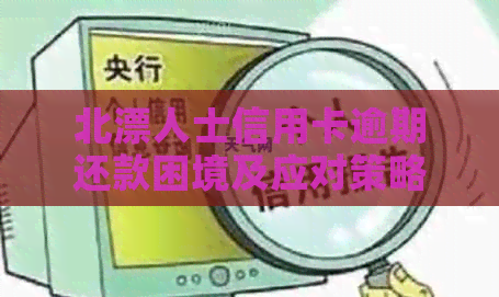北漂人士信用卡逾期还款困境及应对策略