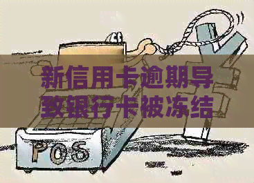 新信用卡逾期导致银行卡被冻结？这里有解决方案！