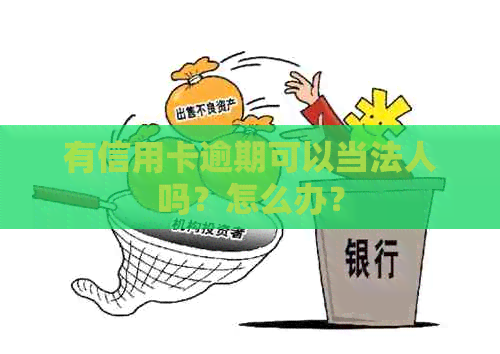 有信用卡逾期可以当法人吗？怎么办？