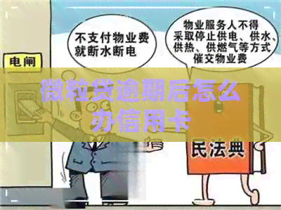 微粒贷逾期后怎么办信用卡