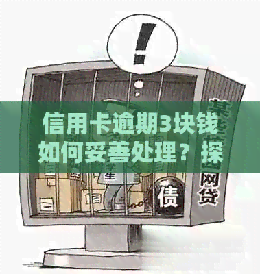 信用卡逾期3块钱如何妥善处理？探讨解决方案与注意事项
