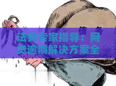 法务专家指导：网贷逾期解决方案全解析，避免不必要的法律风险