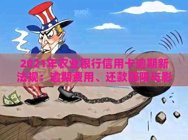 2021年农业银行信用卡逾期新法规：逾期费用、还款期限与影响全解析