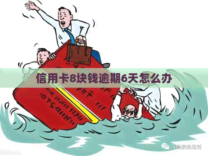 信用卡8块钱逾期6天怎么办