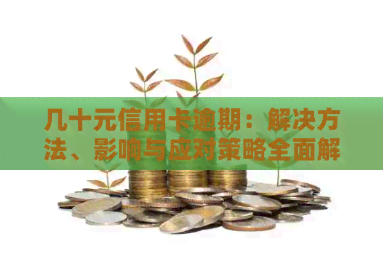 几十元信用卡逾期：解决方法、影响与应对策略全面解析