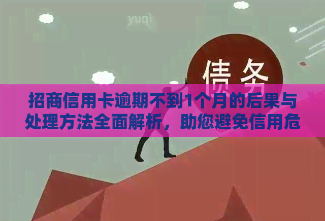 招商信用卡逾期不到1个月的后果与处理方法全面解析，助您避免信用危机！
