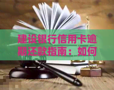 建设银行信用卡逾期还款指南：如何避免影响信用评分与罚款