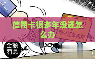 信用卡很多年没还怎么办