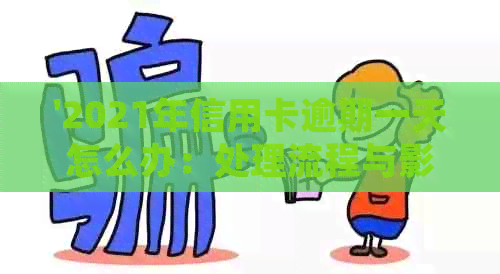 '2021年信用卡逾期一天怎么办：处理流程与影响分析'