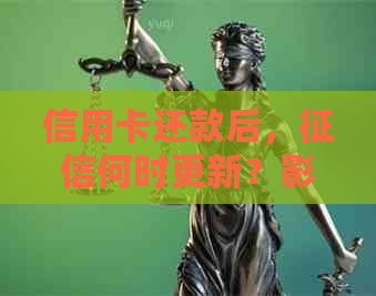 信用卡还款后，何时更新？影响因素解析与建议