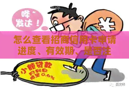 怎么查看招商信用卡申请进度、有效期、是否注销、分期记录及卡号？