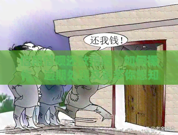 信用网贷还款指南：如何操作、逾期处理及更多你想知道的！
