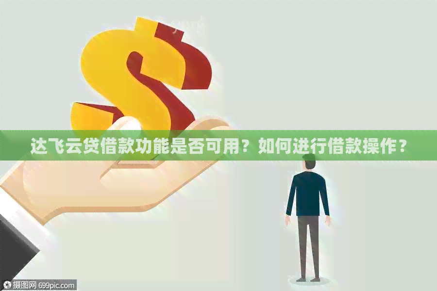 达飞云贷借款功能是否可用？如何进行借款操作？