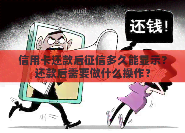 信用卡还款后多久能显示？还款后需要做什么操作？