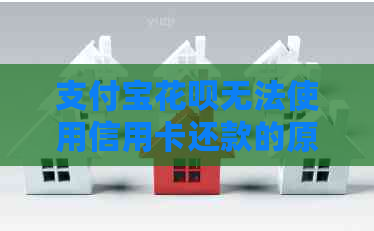 支付宝信用卡无法使用信用卡还款的原因及其解决方案