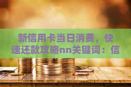 新信用卡当日消费，快速还款攻略nn关键词：信用卡、当日消费、还款攻略