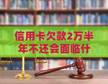 信用卡欠款2万半年不还会面临什么后果？如何解决这个问题？
