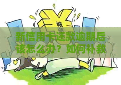 新信用卡还款逾期后该怎么办？如何补救信用损失？