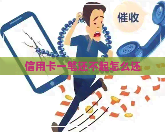 信用卡一笔还不起怎么还
