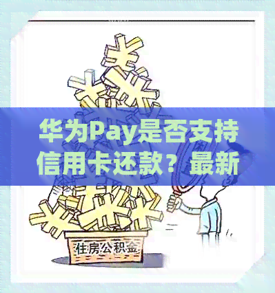 华为Pay是否支持信用卡还款？最新资讯与操作指南