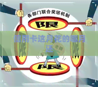 信用卡这月花的哪月还