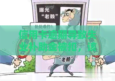 信用卡逾期导致失业补助金被扣，该如何解决？