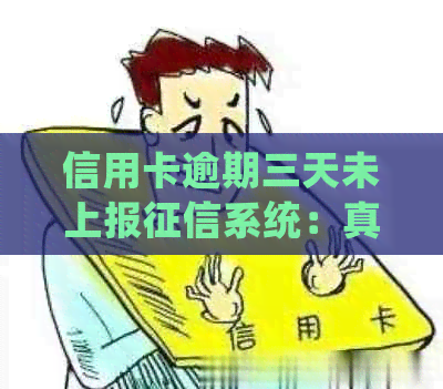信用卡逾期三天未上报系统：真相揭秘与处理策略