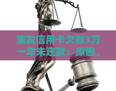 浦发信用卡欠款3万一年未还款：原因、后果及可能的解决方案全面解析