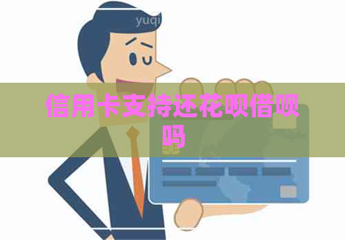 信用卡支持还信用卡网贷吗