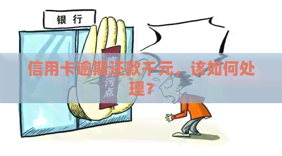 信用卡逾期还款千元，该如何处理？