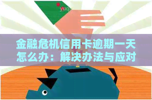 金融危机信用卡逾期一天怎么办：解决办法与应对策略