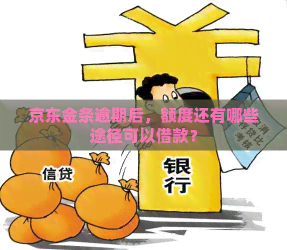 京东金条逾期后，额度还有哪些途径可以借款？