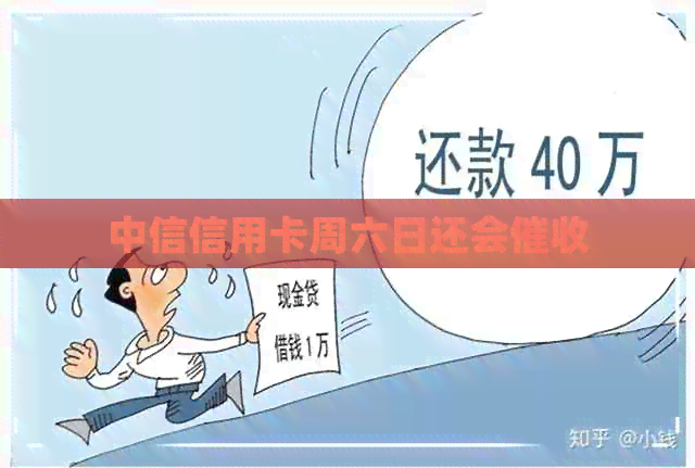 中信信用卡周六日还会