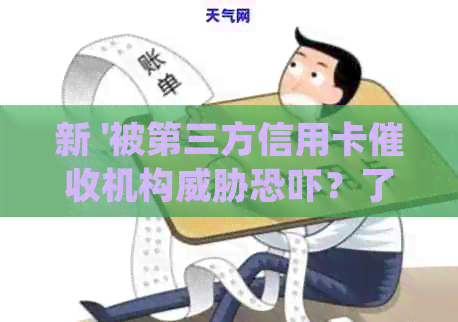 新 '被第三方信用卡机构？了解你的权益并采取行动'
