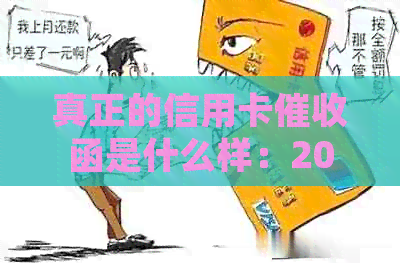 真正的信用卡函是什么样：2020年规定、章与实际操作全解析