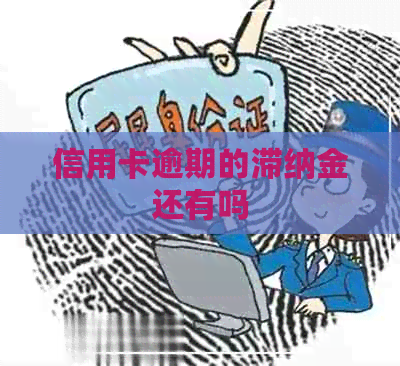 信用卡逾期的滞纳金还有吗