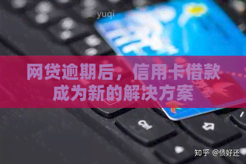 网贷逾期后，信用卡借款成为新的解决方案