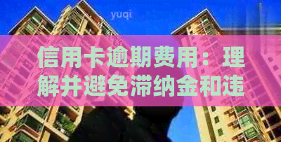 信用卡逾期费用：理解并避免滞纳金和违约金的秘诀
