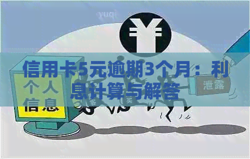 信用卡5元逾期3个月：利息计算与解答