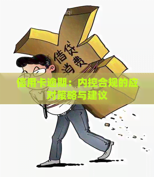 信用卡逾期：内控合规的应对策略与建议