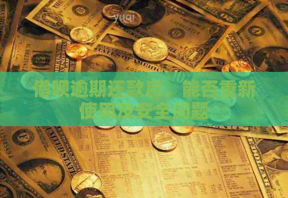 网贷逾期还款后，能否重新使用及安全问题
