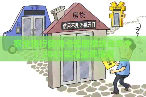 农业银行信用卡逾期缴纳金多少：2021年新法规详解