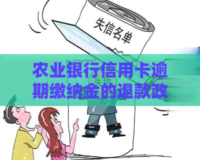 农业银行信用卡逾期缴纳金的退款政策及相关注意事项解答