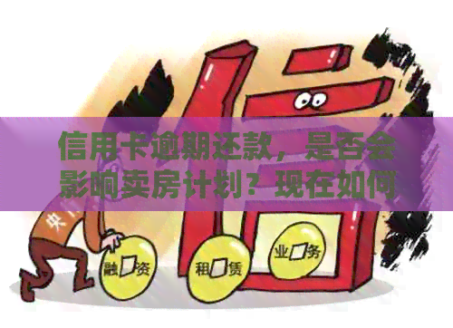 信用卡逾期还款，是否会影响卖房计划？现在如何处理？