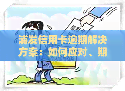 浦发信用卡逾期解决方案：如何应对、期还款详细步骤与影响分析