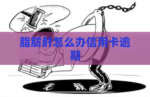 脂肪肝怎么办信用卡逾期
