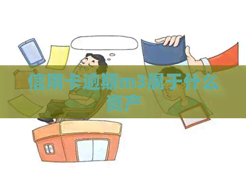 信用卡逾期m3属于什么资产