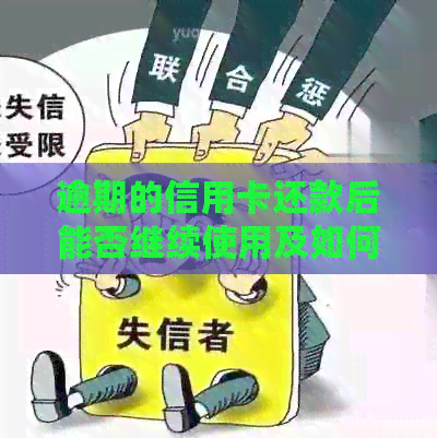 逾期的信用卡还款后能否继续使用及如何申请分期付款